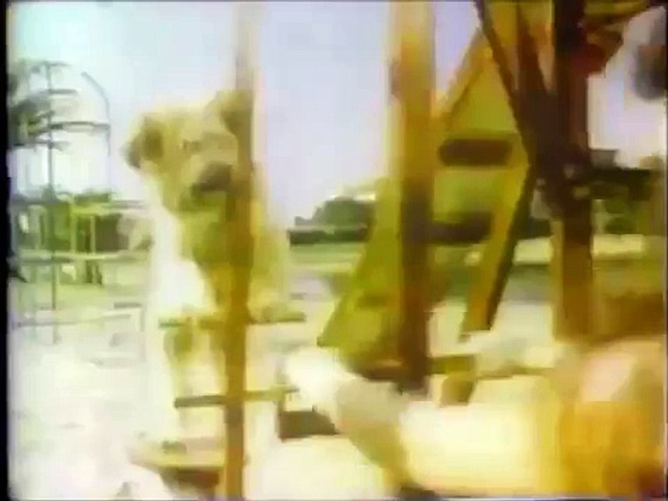 Here's Boomer promo with Casey Kasem - NBC June, 1980