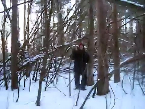Large structures found in woods near Bigfoot sightings in Southern Wisconsin.