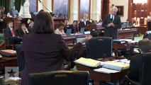 Senate Budget Debate: Education Funding