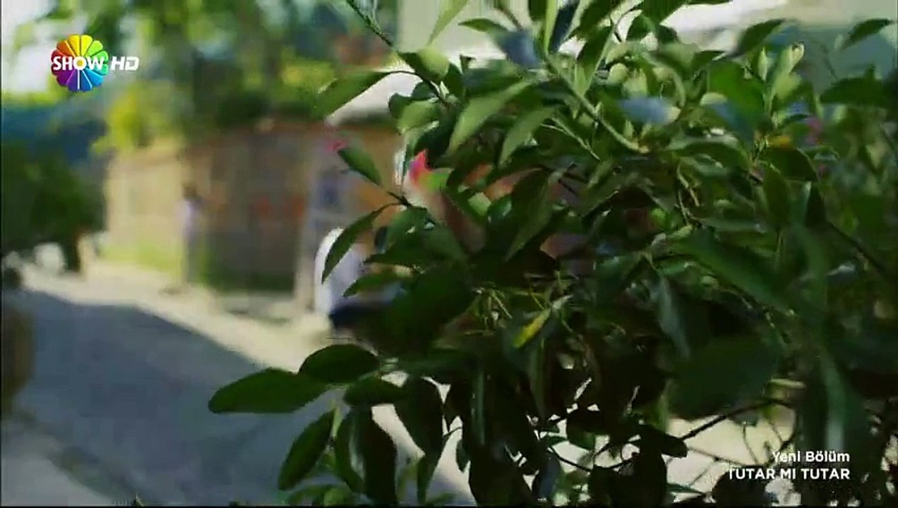 tutar03