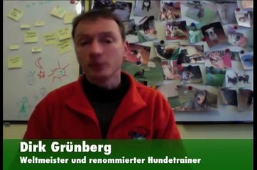 Hunde-Erziehung: Verbotskommando - Machen Sie auch diesen Fehler?