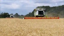 JSR Farms Harvest 2012 - Claas Lexion 770 Tandem