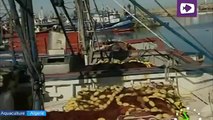 ورشات صناعــة معدات السفن وشباك الصيد بزموري ولاية بومرداس