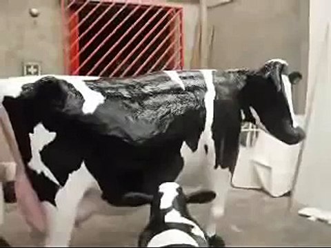 Esculturas y figuras en fibra de vidrio