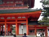 京都平安神宮2010：満開の紅しだれ桜・昼と夜のライトアップ