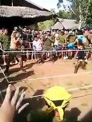 Box avec des  yeux bandés mdrrrr