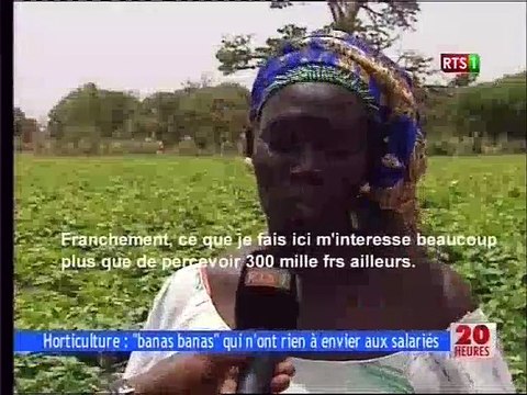 Horticulture : banas banas qui n'ont rien à envier aux salariés