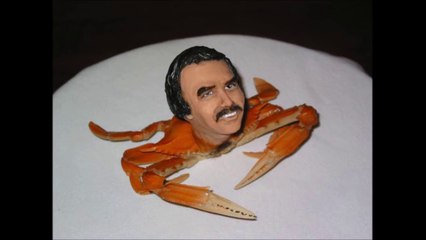 10 Weirdest Facts You Didn't Know