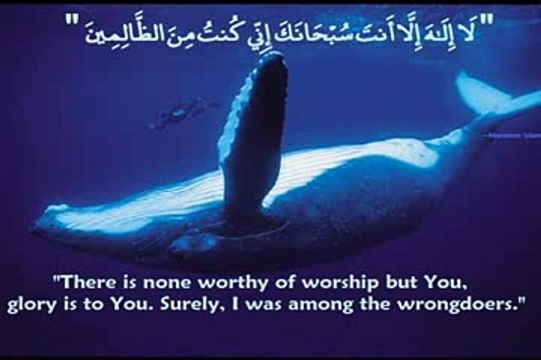 Emotional Hazrat yunus alaihis salam Machli ke pet me chalis din tak the By Maulana Tariq Jameel