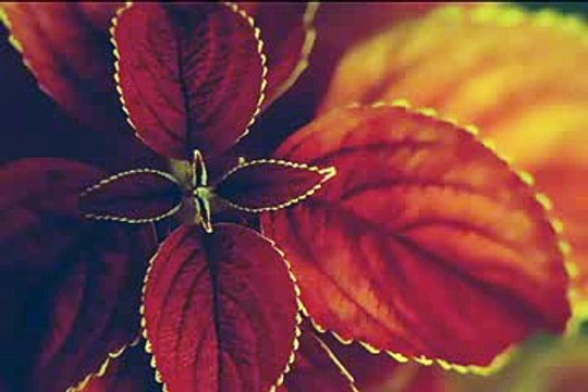 Gunah gar bandhe se bhi allah mohabbat karte hai by zulfiqar ahmad naqshbandi