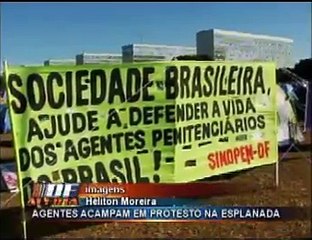 Greve agentes