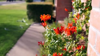 Sigma 30mm F2.8 EX DN Lens - In Depth Review on the Sony a6000 Camera