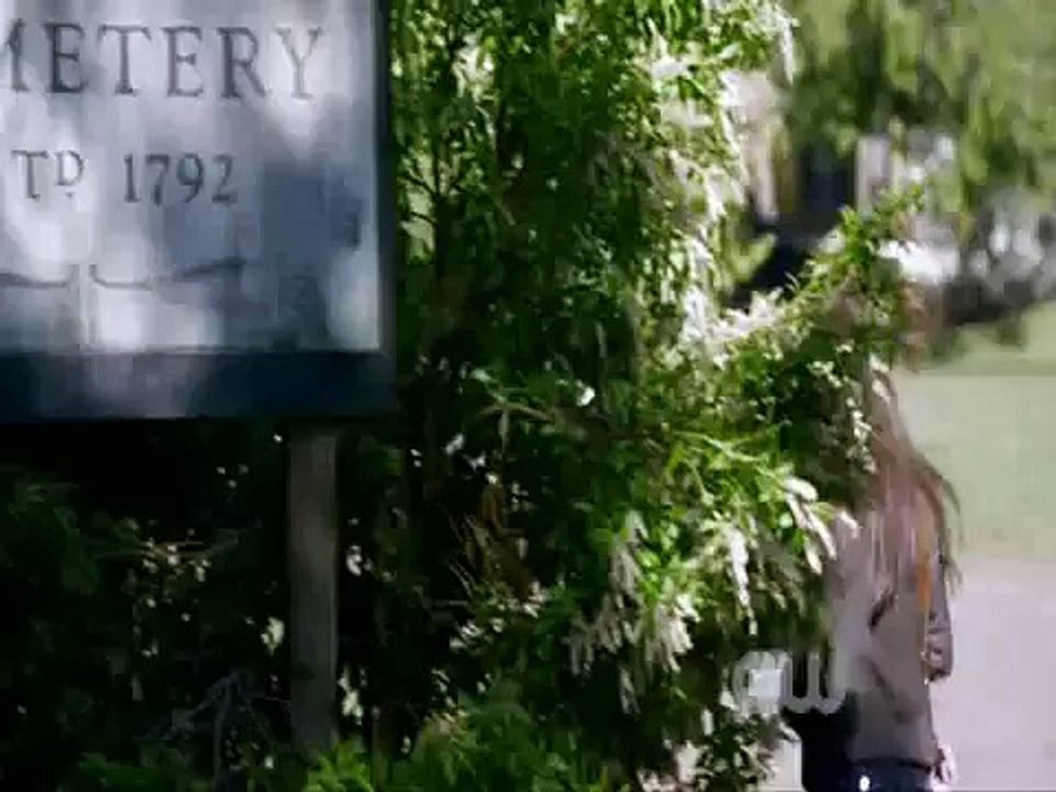 reVAMPED Cannibal: Female Vampires of Mystic Falls (Vampire Diaries)