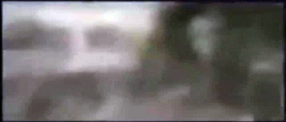 Tiger attacking crocodile !!!! Documentary Animal and Nature