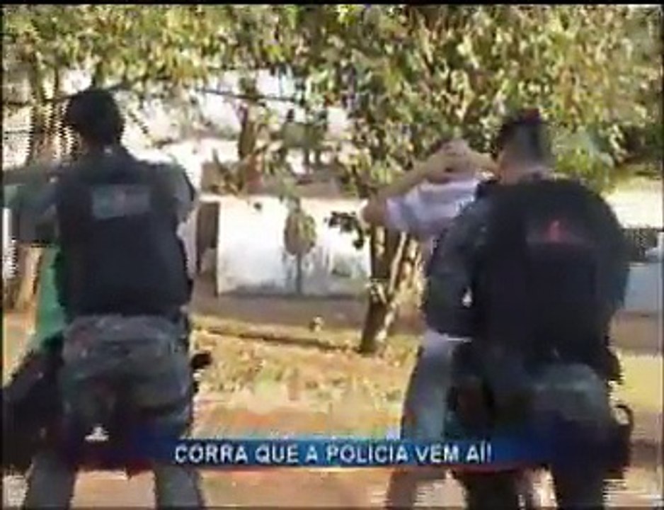 Operação GRIFO