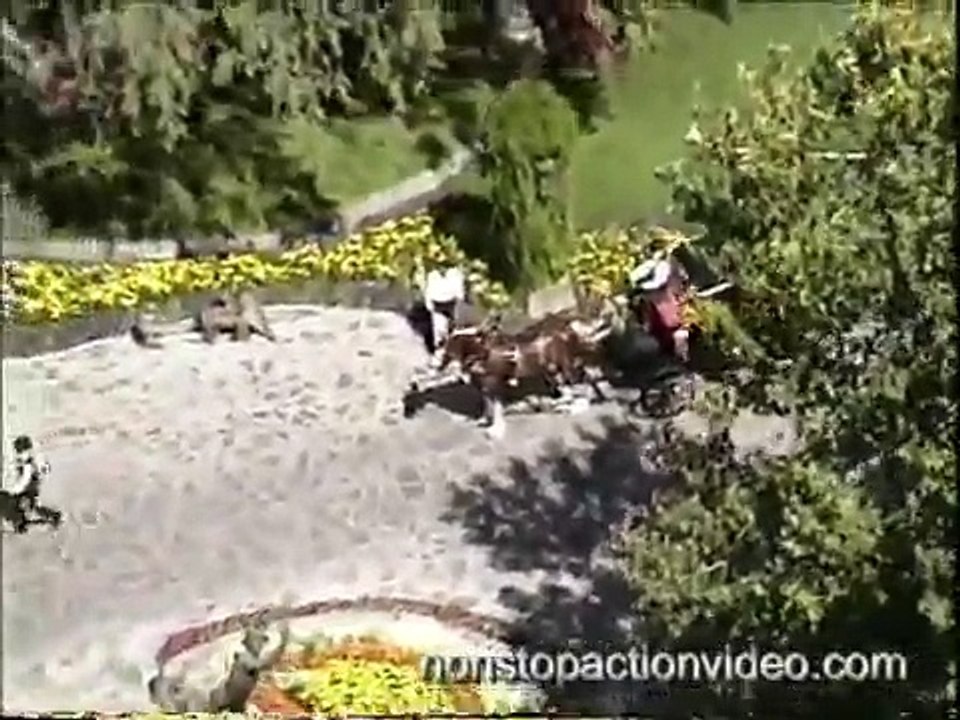 Michael Jackson Neverland Ranch - Brando Wedding 1994