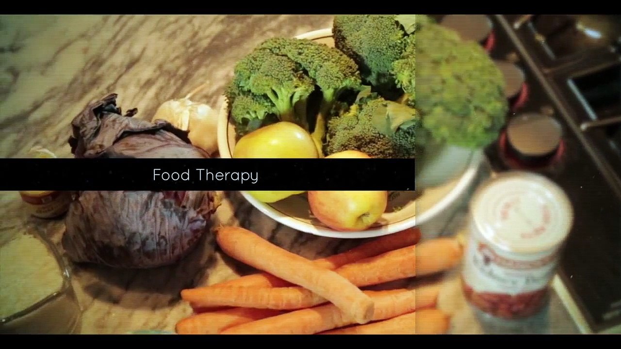 The Original Crockpet Diet ™ Your Pet's Best Health Begins in the Bowl™