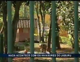 Invasão na Vila Planalto JL2