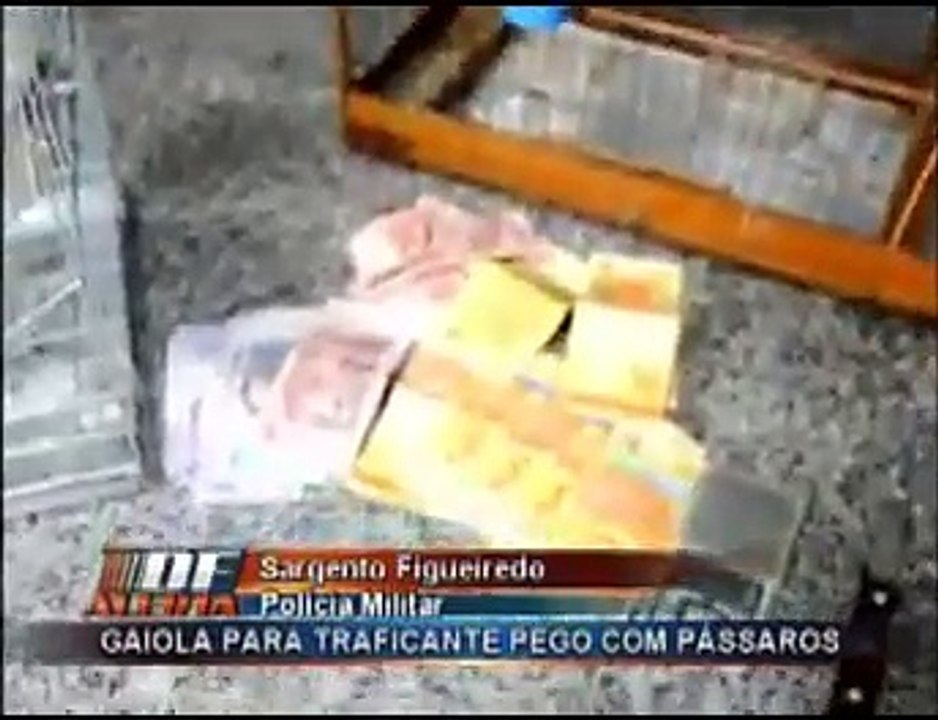 Traficante Sol Nascente