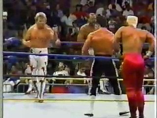 Cactus Jack/Dangerous Alliance vs Sting/Bagwell/Steiners Bros