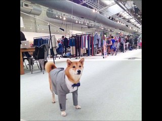 10 Years - Miscellanea vocal cover