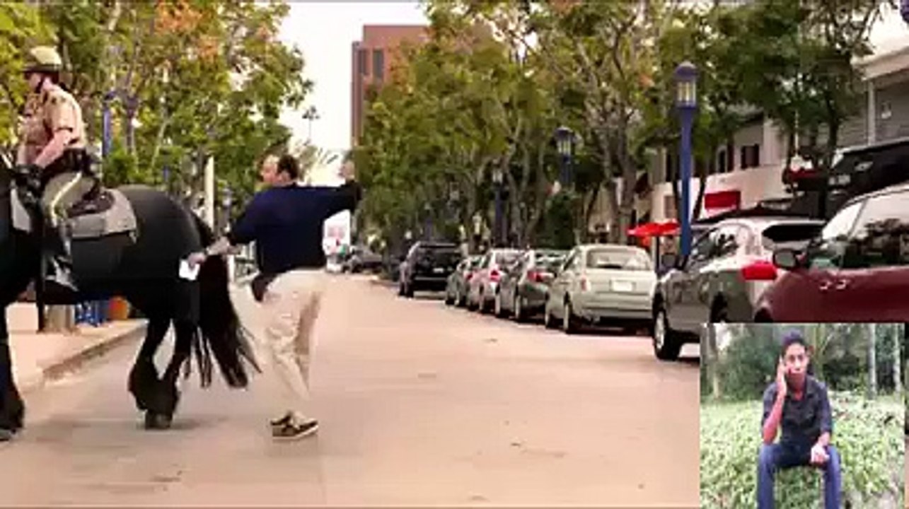 horse so nice kick man