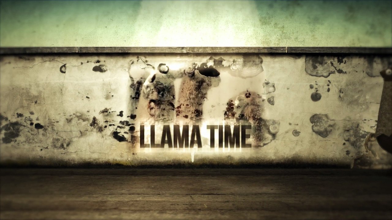 Llama Time - US AND IRAN