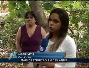 Árvore cai em uma casa