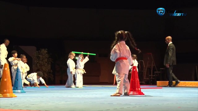 Nuit des Arts Martiaux The Game