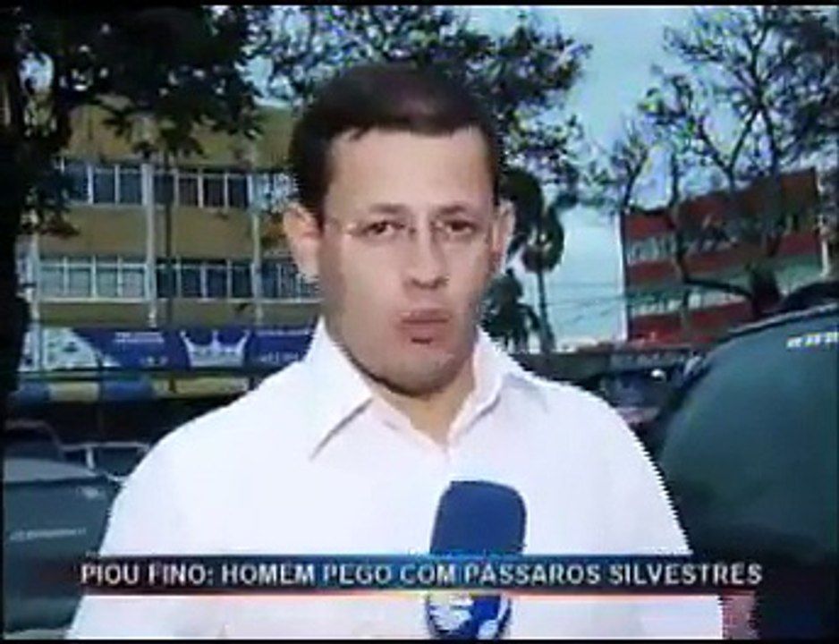 Pássaros Taguatinga