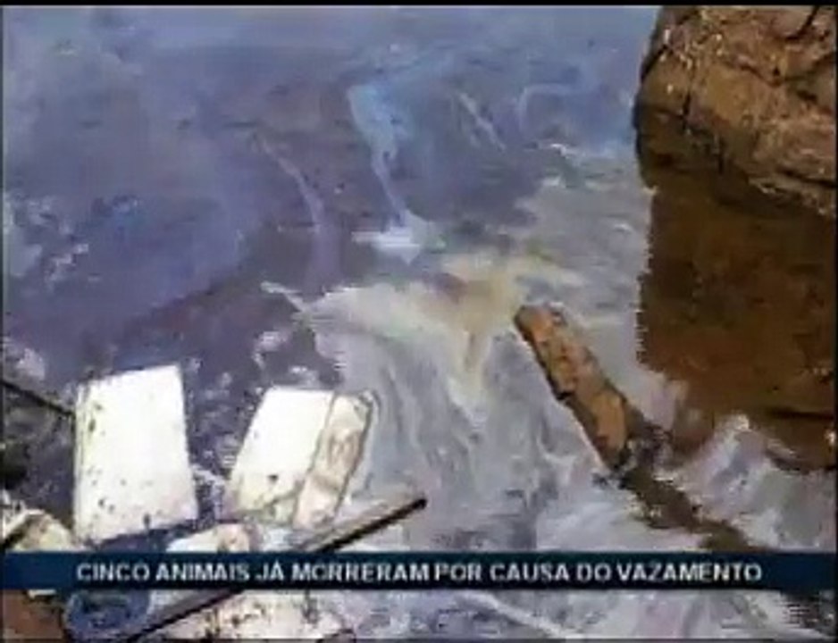 Morte animais