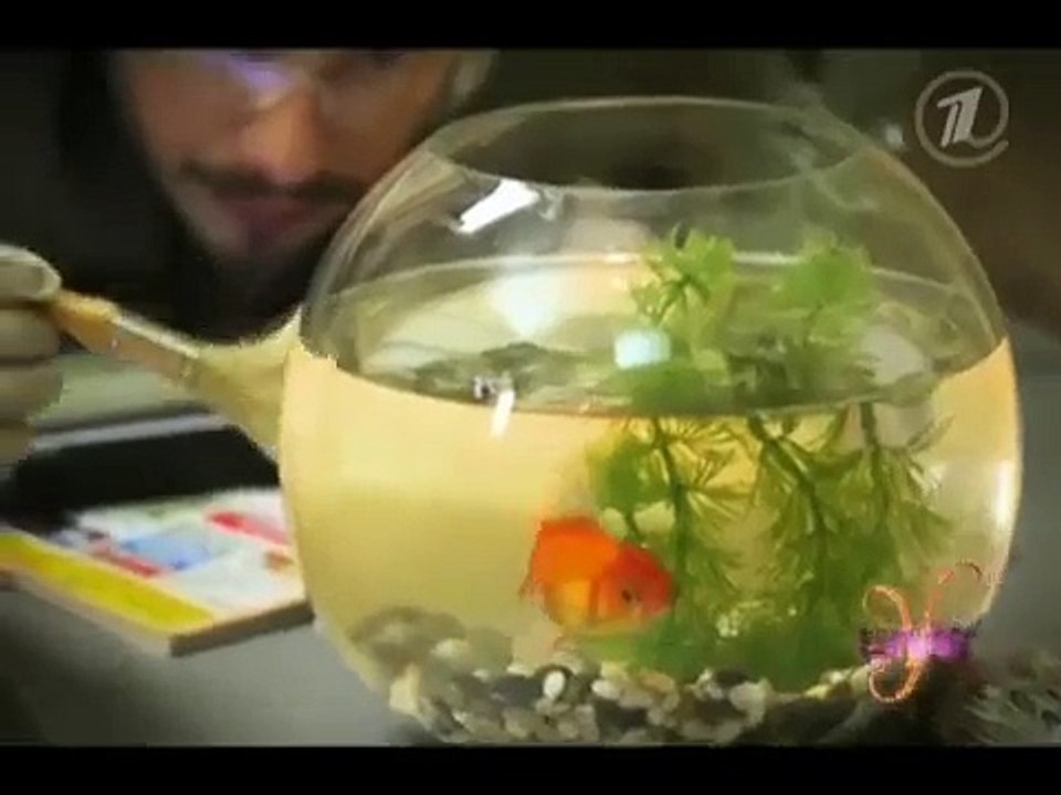 Yesterday live: Песня (от 27.11.2011)