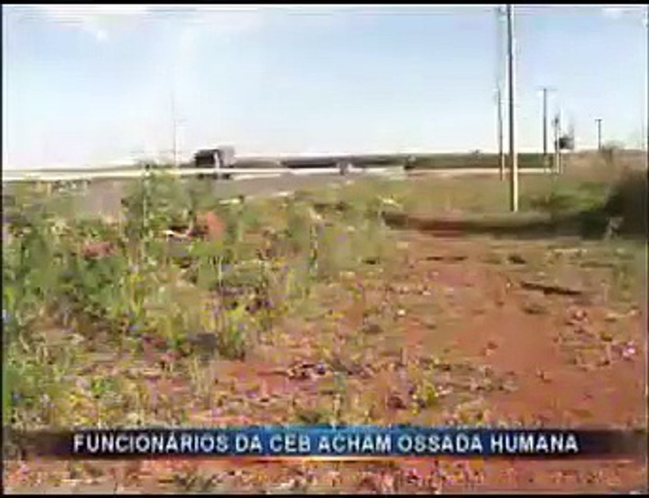 Ossada Samambaia