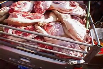 Chinese Food Safety (Cantonese)