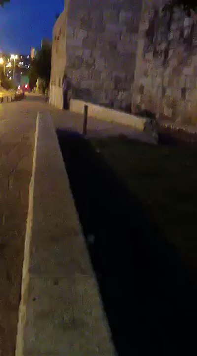 اللاعب وسيم زهران