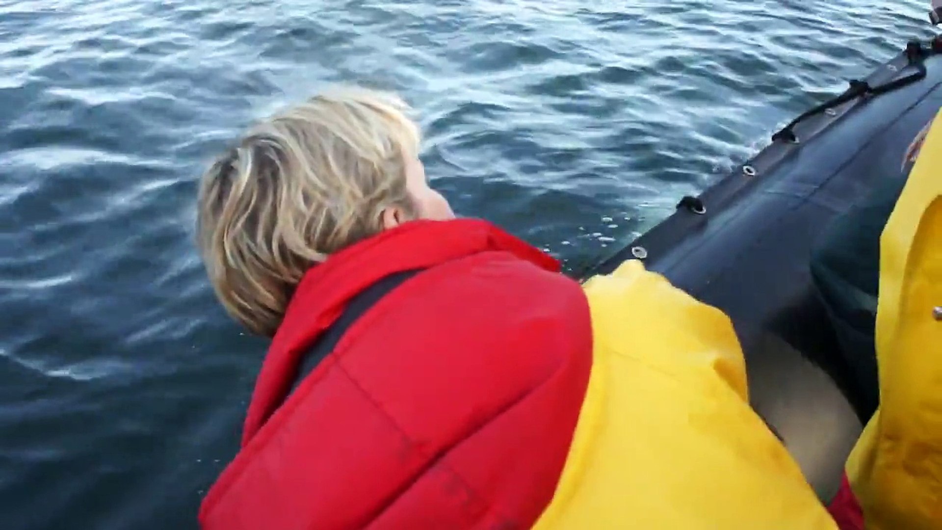 Whale Watching Tofino - Hug from a Humpback Whale - August 2011