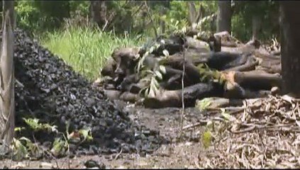 Chabon Bwa Bwa dife, Ki Solisyon