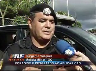 Prisão GPT Gama