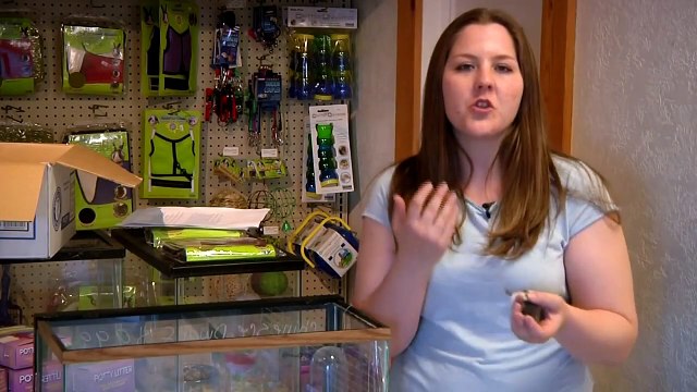 Exotic Pets : How to Care for Orphaned Rats