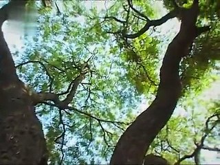 Vandana Shiva   Diese Welt ist nicht zu verkaufen   Teil 3 von 5   Doku 2006   Finanzkrise Monsanto Gentechnik