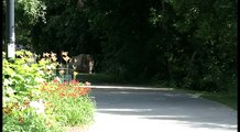 Cycling Tourism