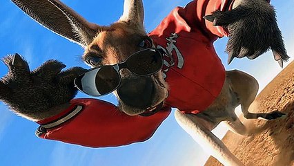 Watch Kangaroo Jack Full Movie HD 720p Quality âŒ