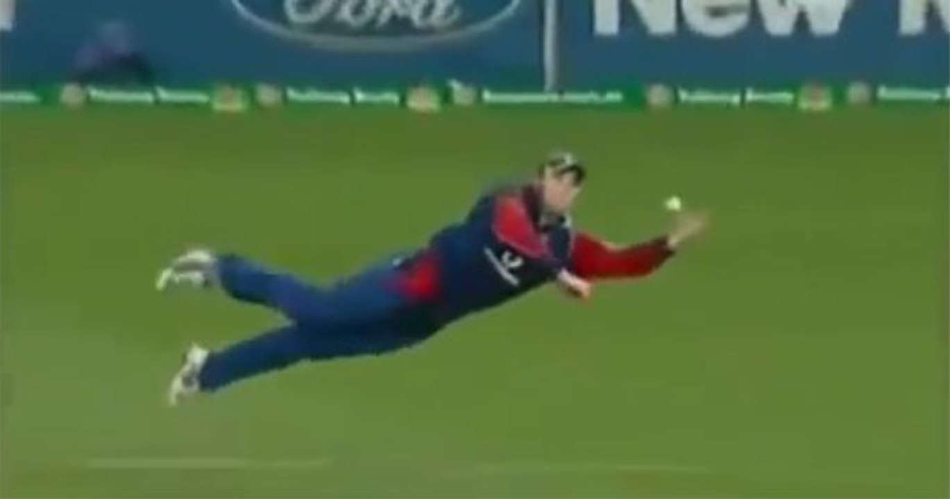 The Best catches in cricket history of all time!!