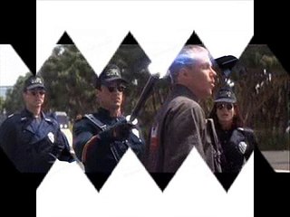 New Digilife Taiwan Police Force Stun Gun Torch in Delhi India-9811251277