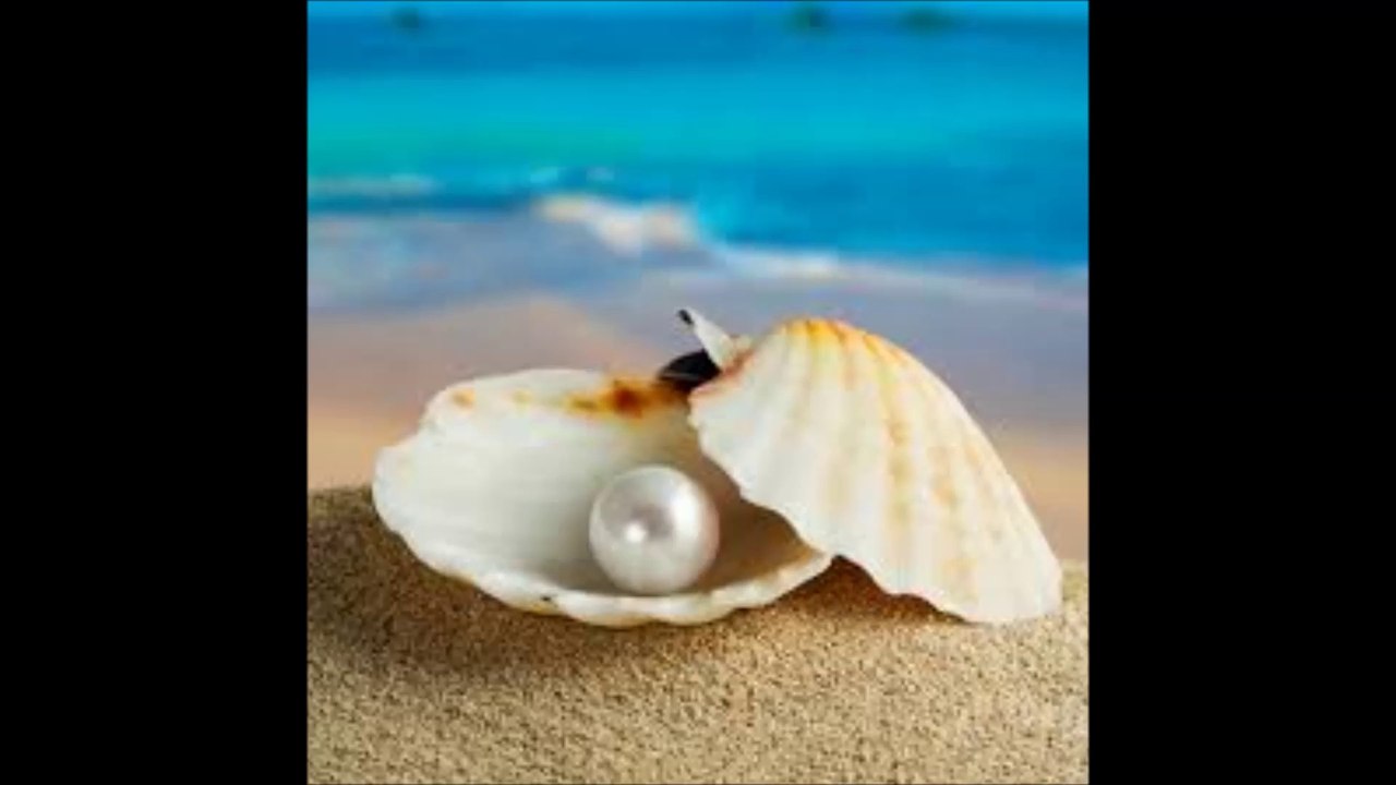 In My Rosary - Pearl In A Shell