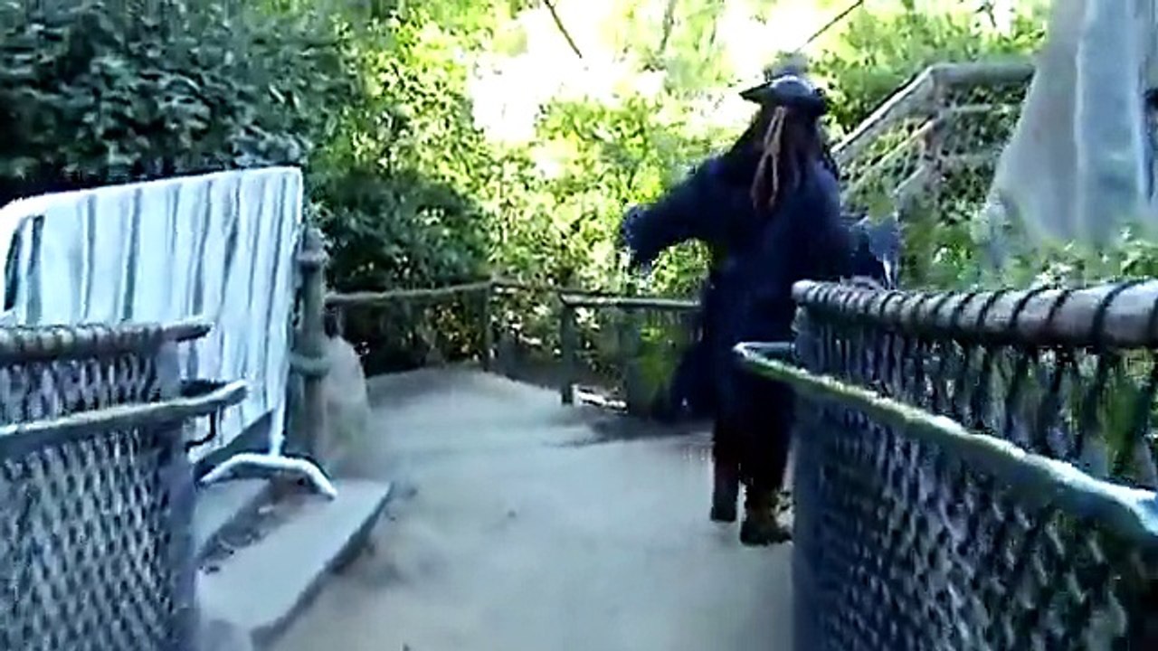 Captain Jack Sparrow Visits Disneyland