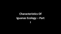 Characteristics Of Iguana Ecology Tips | Characteristics of Iguana Ecology Guide!