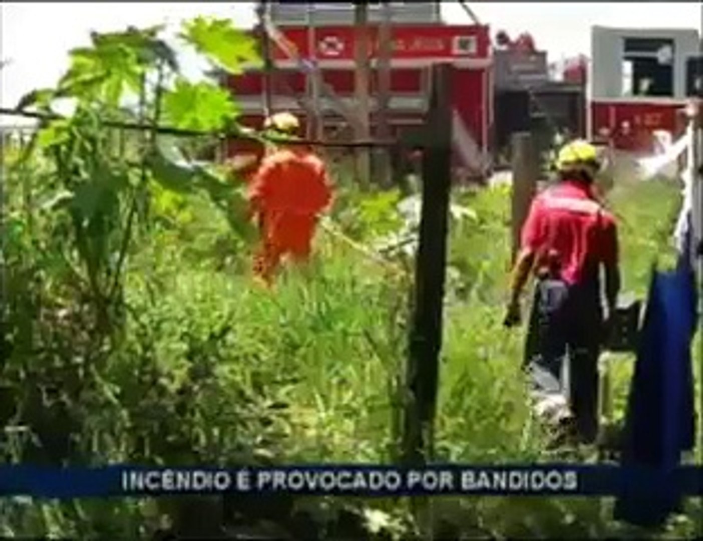 Carros roubados