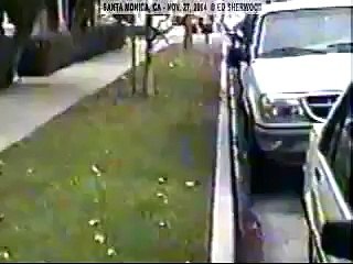 Flying Humanoid, Santa Monica CA, Nov 27 2004