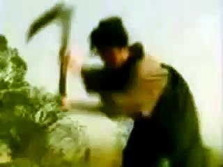 [AC CM]公共広告機構 シカの愛